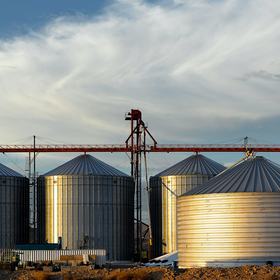 Paddy Drying & Storage